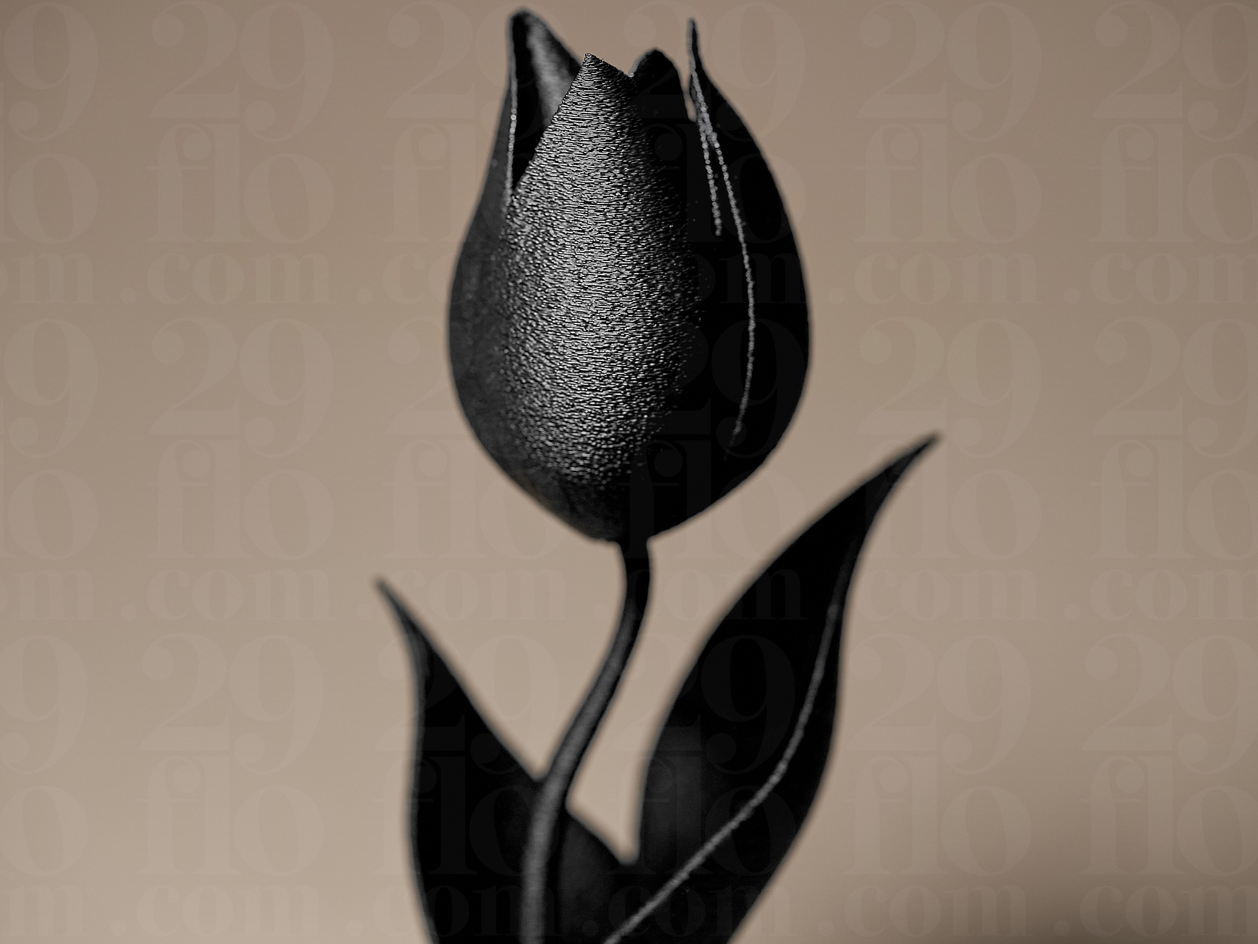 تصویر 4