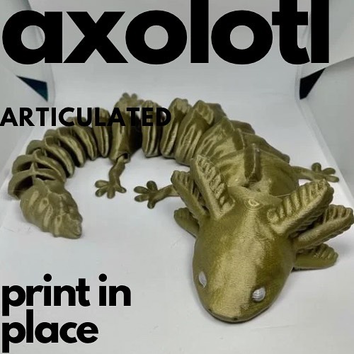 فایل سه بعدی | AXOLOTL مفصلی